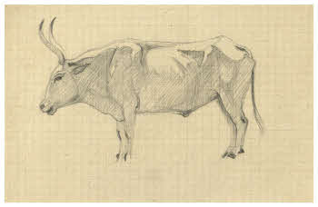 Visualizza l'immagine "FD D 1922"